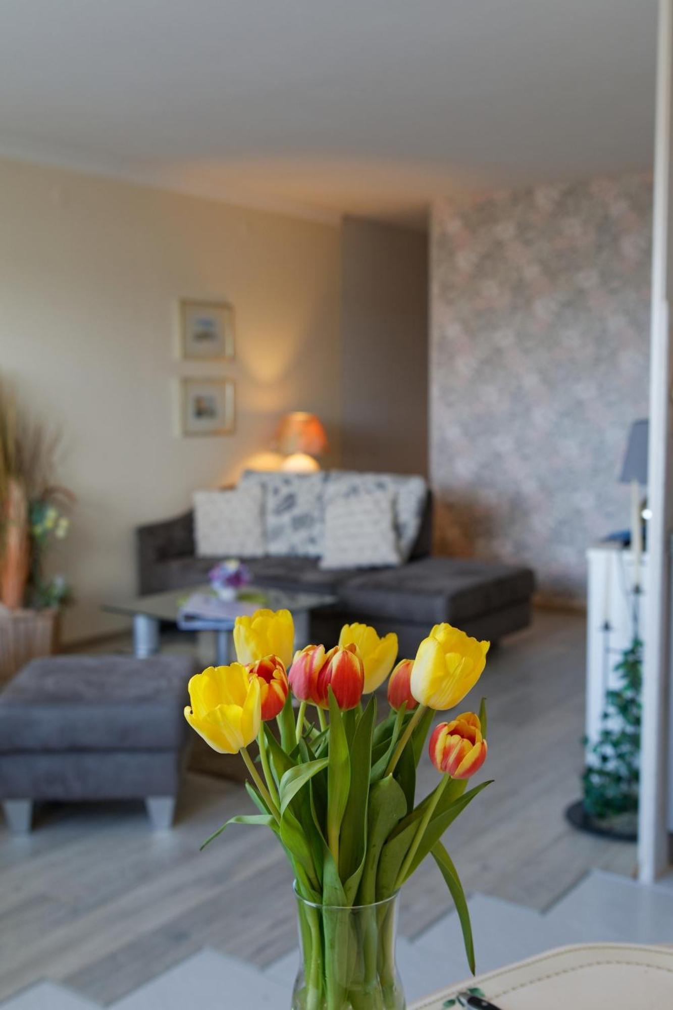 הייליגנהאפן Appartement "Sonnenperle" מראה חיצוני תמונה